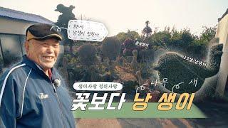 꽃보다 낭 생이 Bird made of wood | 정원의 발견 Wonders of Garden | KBS제주 20220225 방송