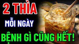 Về Già CỨ UỐNG "2 THÌA NÀY" Mỗi Ngày, ỐM CỠ Nào CŨNG KHỎE NHƯ VOI, SẠCH GAN KHỎE THẬN, NGỦ NGON