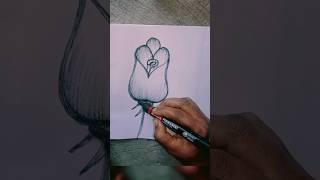 How To Draw Wonderful Flower #shorts #ytshorts #Drawing Art and craft by W.B