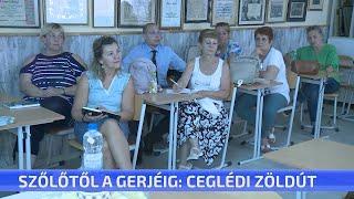 Szőlőtől a Gerjéig - ceglédi zöldút