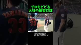 プロ選手もビビる大谷の練習打球 #野球 #プロ野球 #大谷翔平 #侍ジャパン