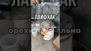 Колем орехи. Лайфхак