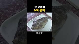 6짜 붕어의 나이는 10살? #6짜붕어 #대물붕어 #나이