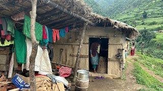 rainy season in Nepal || Nomads of the Village: Life in the Mountains of Nepal || TheVillageNepal