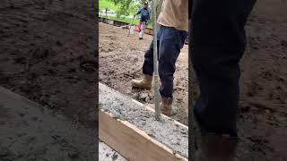Vibrating curb with our @MakitaToolsUSA 40V Max concrete vibrator #concrete #contractor #makitatools