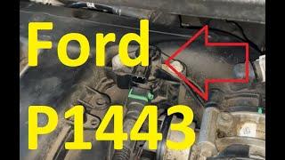 Causes and Fixes Ford P1443 Code: Evaporative Emission Control System Control Valve