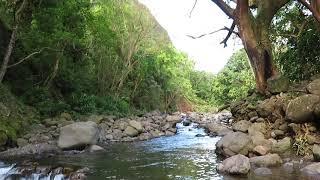 IAO Valley State Park  Maui Hawaii