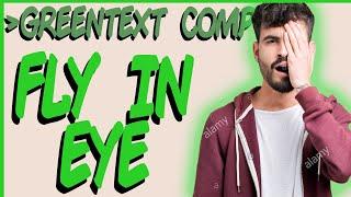 Greentext Comps #2 Fly in Eye