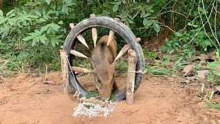 DIY primitive technology wild boar trap using raw tires with sharp wood #wildboartrap #animaltrap