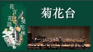 《菊花台》 Chrysanthemum Terrace：周杰倫 （Jay Chou）曲、郭宗翰 編｜Taiwan Mandolin Ensemble｜指揮：曾煒昕、臺灣曼陀林樂團