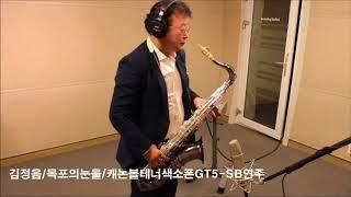 김정음 - 목포의눈물. 캐논볼 색소폰 - 테너 GT5 SB 연주