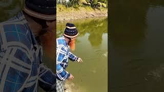 Amazing Fishing BD part -475 #fishing #fish