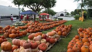 St. Coleman Pumpkin Patch!