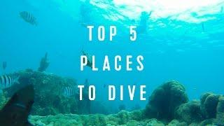 Royal Caribbean Top 5: Places to Dive