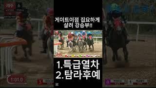 게이트이점 집요하게 살린 강승부    #경마  #경마예상  #경마방송  #예상방송  #경마예상방송 #금요경마  #토요경마  #일요경마 #경마장      #서울경마