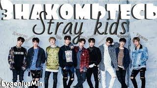 KPOP| ЗНАКОМЬТЕСЬ STRAY KIDS| ЛЮБИМЫЕ ДЕТКИ| Часть1