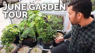 Full June Garden Tour 2020!