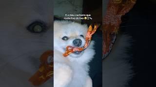 LEON STEALS TRASH ️