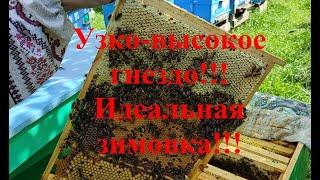 Узко-высокое гнездо для идеальной зимовки пчёл!!! Рамка Дадана 435х300 - хуже некуда!!!