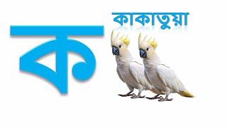 বাংলা বর্ণমালা ক খ গ ঘ ঙ চ ছ জ ঝ ঞ ট ঠ ড ঢ ণ ত থ দ ধ ন প ফ ব | bangla banjonborno