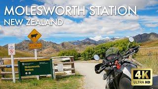 KLR650 | Molesworth Station, NZ | Adventure Motorcycle Riding 2021 | GoPro Hero 9 | 4K Ultra HD