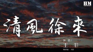 王菲 - 清風徐來『清風徐來 水波不興』【動態歌詞Lyrics】