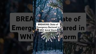 BREAKING: State of Emergency Declared in WNY Amid Storm.