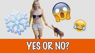 Yes or No challenge: Matzy uitlaten in bikini?! | DierenpraatTV