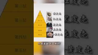 你不知道的翡翠知识：你要谨防的翡翠原石是什么？