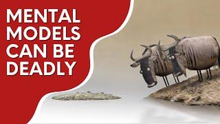 Mental models can be deadly | Real World Examples