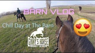 Calming Barn VLOG- Chill Day With The Horses