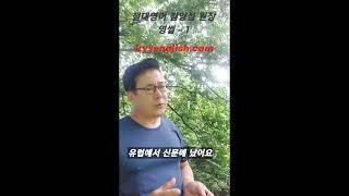 절대영어 김양섭 원장, 영썰 - 1