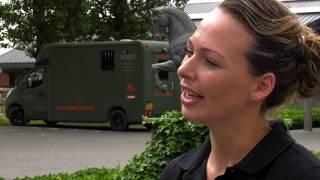 Hygiëne in de stal MSD Animal Health - Biosecurity