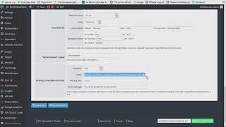 WordPress 022 Wordpress Newsletter anmeldeformular Datenschutz Kasten Text mit Link zur DSGVO