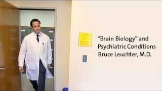 "Brain Biology" and Psychiatric Conditions - Dr. Bruce Leuchter