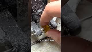 琥珀手串定制出货啦，大家快来一睹为快，粉丝1000开直播！#琥珀蜜蜡 #琥珀直播 #缅甸琥珀