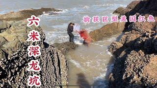 【阿向趕海】無人島兩人高的6公尺深坑，擒獲巨型美國紅魚居然遇到鯊魚，大賣750