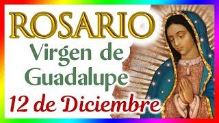 Santo Rosario a la Virgen de Guadalupe en su día, Jueves 12 de Diciembre de 2024El Mundo de MyG