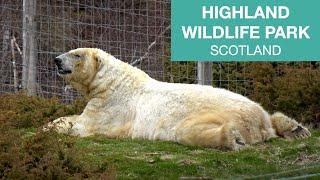 The Highland Wildlife Park, Scotland