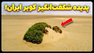 پدیده‌ ای  شگفت انگیز در دل کویر ایران!