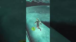 The Legend of Zelda Skyward Sword