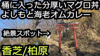 桶で出てくる分厚いマグロ丼 よしもと喫茶エビフライのせオムカレー【奈良香芝大阪柏原】