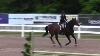 Video of AVIGNION ridden by ASHLEY VOGEL from ShowNet!