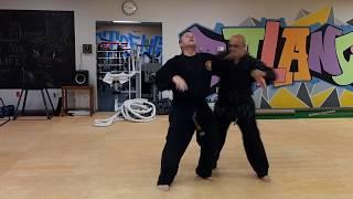 Clips of Senior Master Mike's Combat Hapkido 6th Dan Techniques