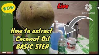 Dong T. Gidong is live! HOW to EXTRACT COCONUT OIL FOREST WOMAN SURVIVAL #viral #trending