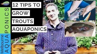 How to grow trout in aquaponics