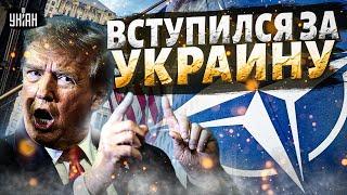 Свершилось! Трамп вступился за Украину и выдвинул требование НАТО