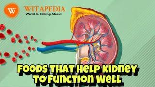 Foods that Help kidney to Function Well - @Witapedia