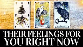 PICK A CARD Their TRUE FEELINGS For You RIGHT NOW!  They want you to know THIS!  Tarot Reading