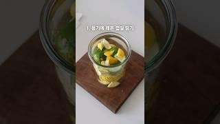 주방 청소 꿀템  주방 기름때 냄세제거에 좋은 레몬소주 만들기